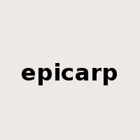 epicarp是什么意思