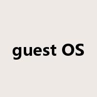 guest OS是什么意思