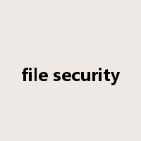 file security是什么意思