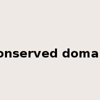 conserved domain是什么意思