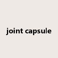 joint capsule是什么意思