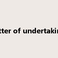 letter of undertaking是什么意思