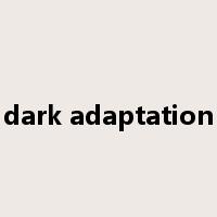 dark adaptation是什么意思