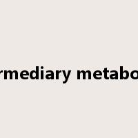intermediary metabolism是什么意思