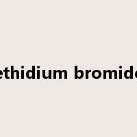 ethidium bromide是什么意思