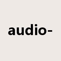 audio-是什么意思