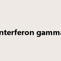interferon gamma是什么意思