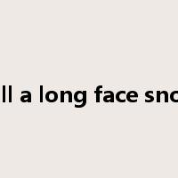 pull a long face snoot是什么意思