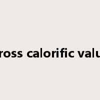 gross calorific value是什么意思
