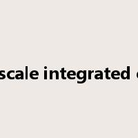 large scale integrated circuit是什么意思