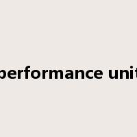 performance unit是什么意思