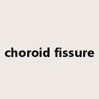 choroid fissure是什么意思