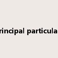 principal particulars是什么意思