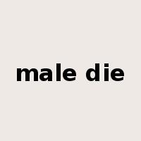 male die是什么意思