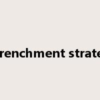 retrenchment strategy是什么意思