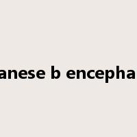 japanese b encephalitis是什么意思