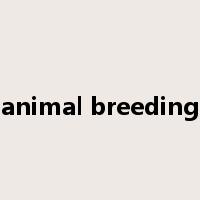 animal breeding是什么意思