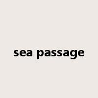 sea passage是什么意思