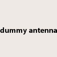 dummy antenna是什么意思