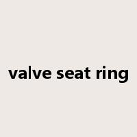 valve seat ring是什么意思