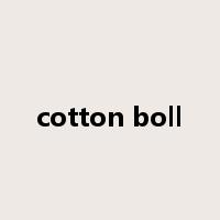 cotton boll是什么意思