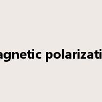 magnetic polarization是什么意思