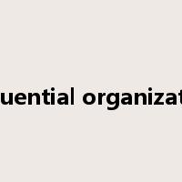 sequential organization是什么意思