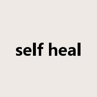 self heal是什么意思