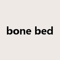 bone bed是什么意思