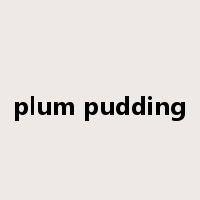 plum pudding是什么意思