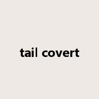 tail covert是什么意思