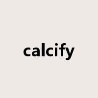 calcify是什么意思