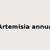 Artemisia annua是什么意思