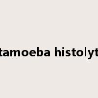 entamoeba histolytica是什么意思