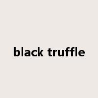 black truffle是什么意思