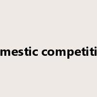 domestic competition是什么意思