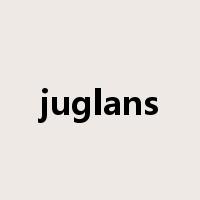 juglans是什么意思