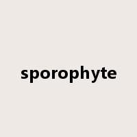 sporophyte是什么意思