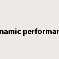 dynamic performance是什么意思