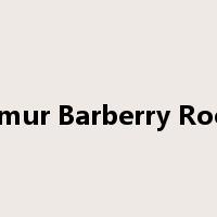 Amur Barberry Root是什么意思