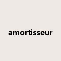 amortisseur是什么意思