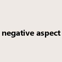 negative aspect是什么意思
