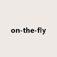 on-the-fly是什么意思