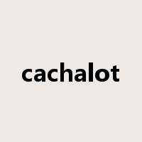 cachalot是什么意思