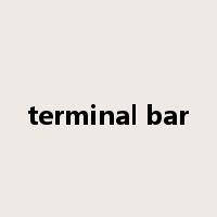 terminal bar是什么意思