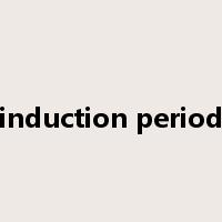 induction period是什么意思