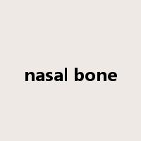 nasal bone是什么意思