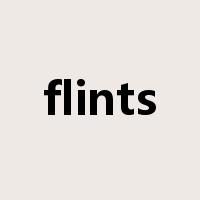 flints是什么意思