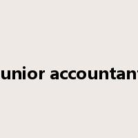 junior accountant是什么意思