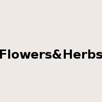 Flowers&Herbs是什么意思